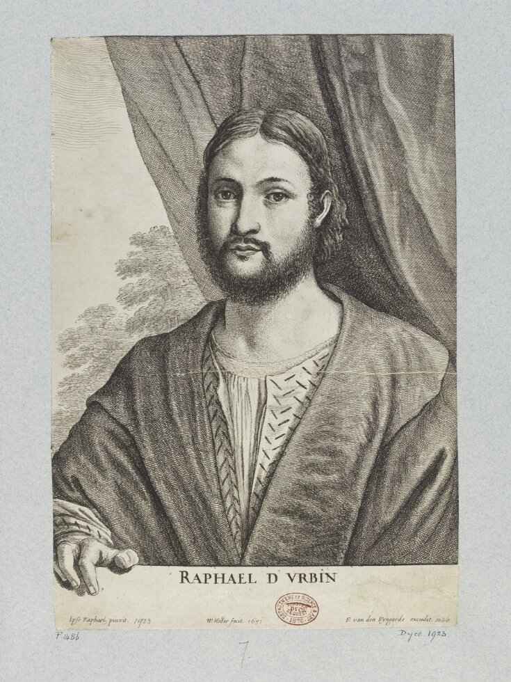 Portrait of Raffaello Sanzio di Urbino top image