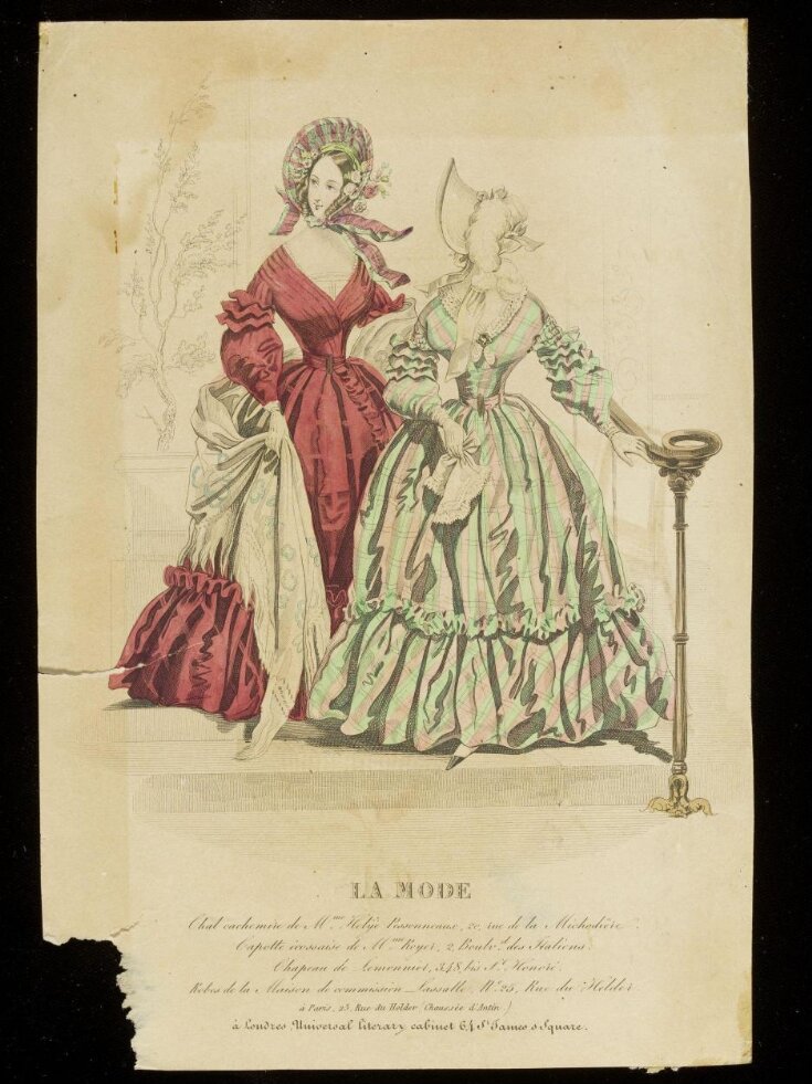 Fashion Plate top image