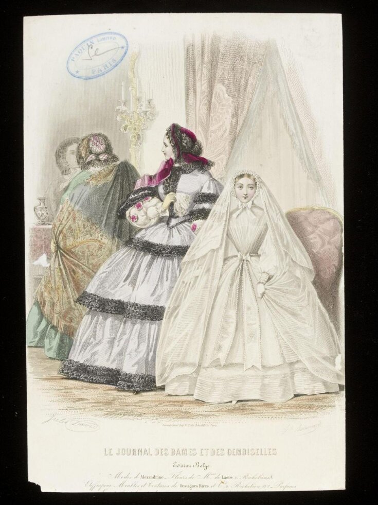 Fashion Plate top image