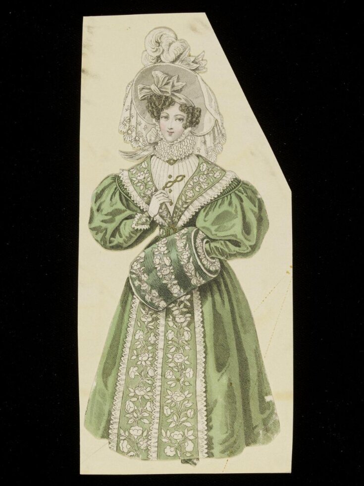 Fashion Plate top image