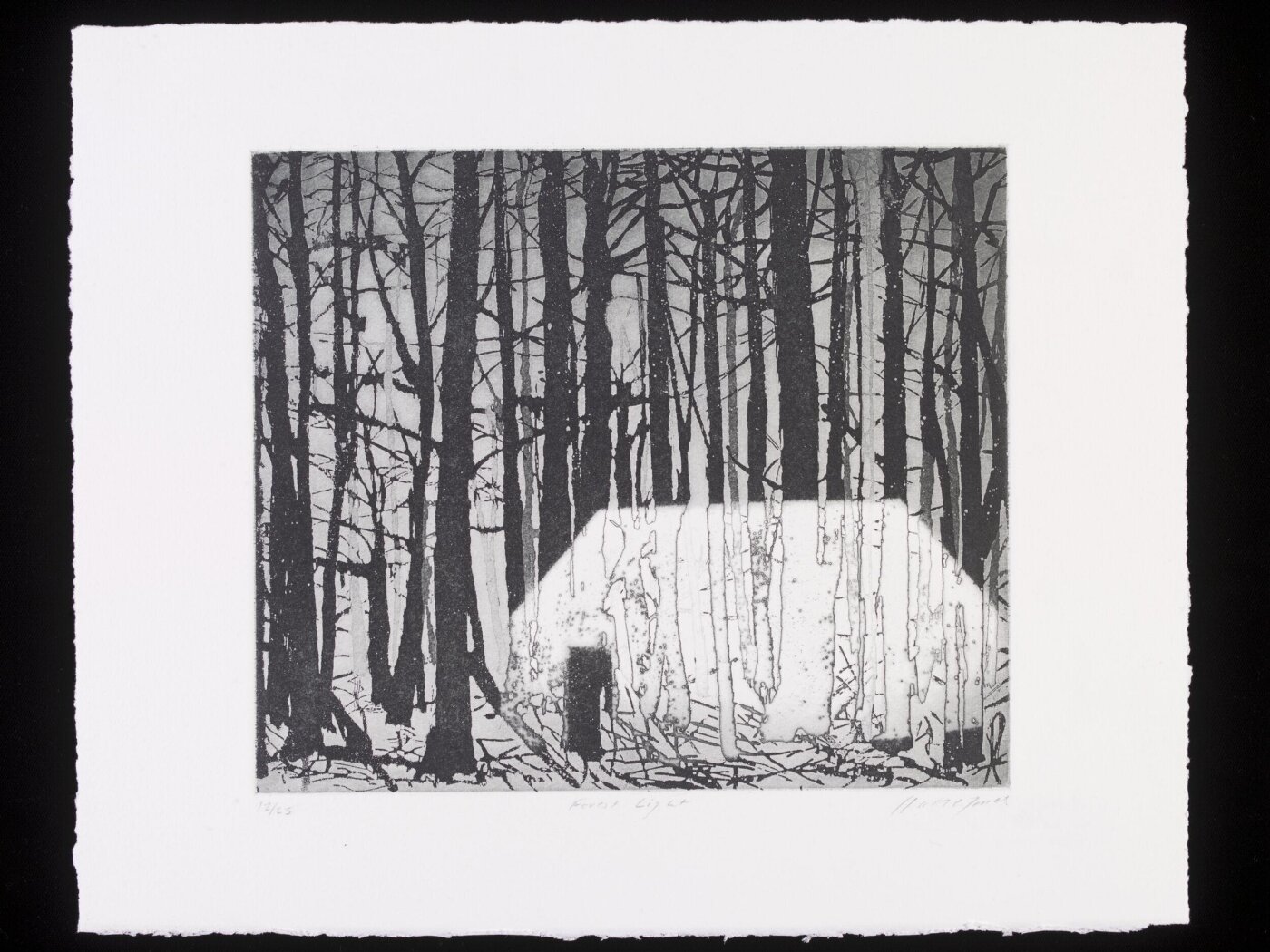 Katherine Jones, Forest Light