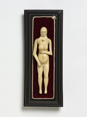 Anatomical Figure of a woman, ca. 1700 - ca. 1750