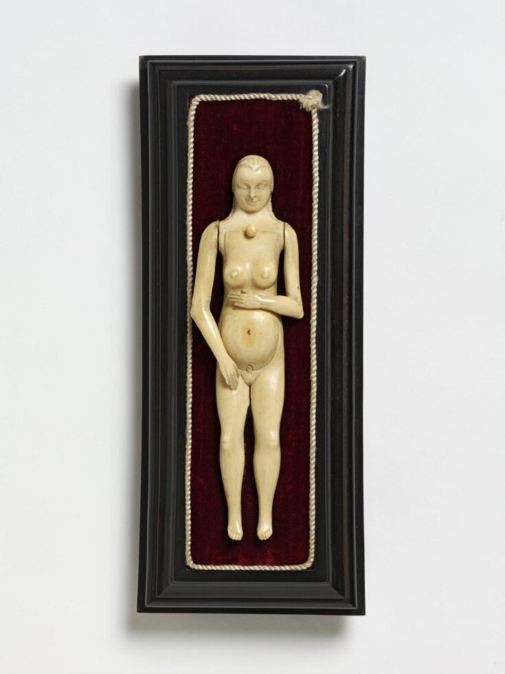 Anatomical Figure of a woman top image