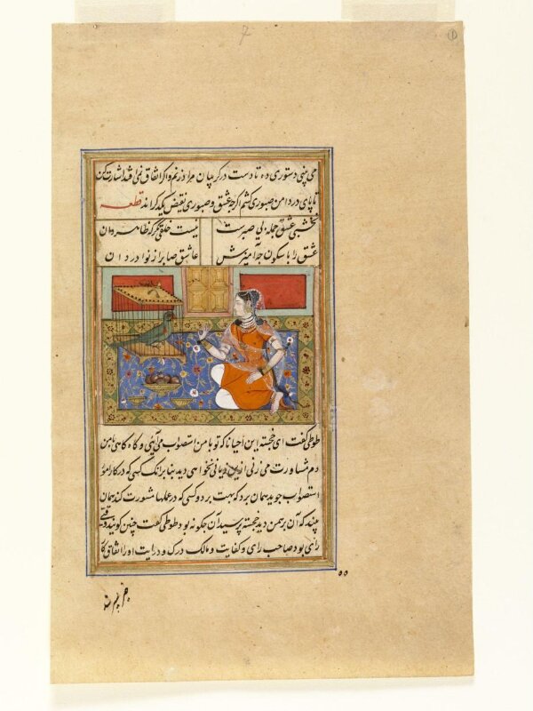 Khojasta talking to the parrot