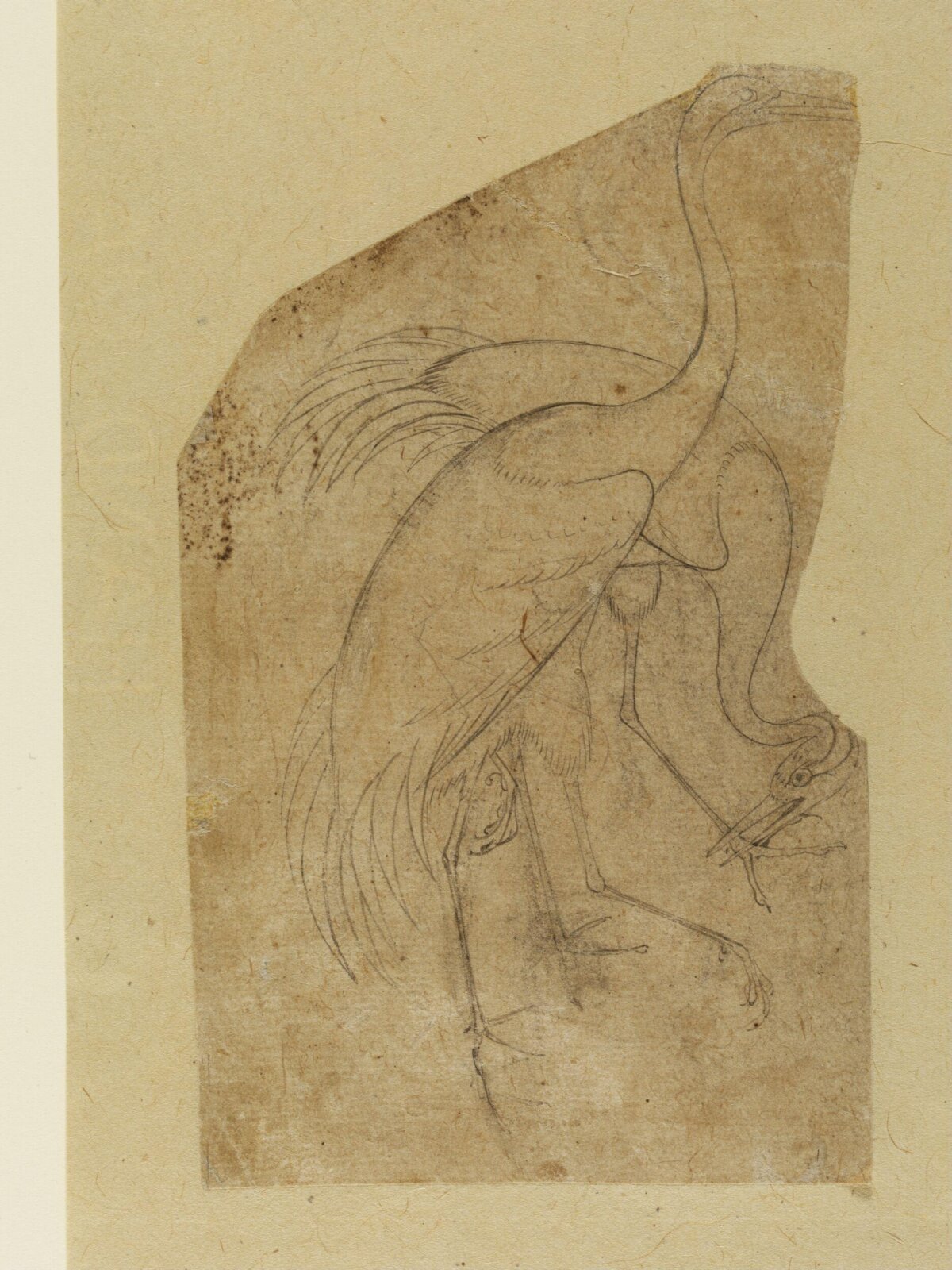 Drawing, 1618-1620