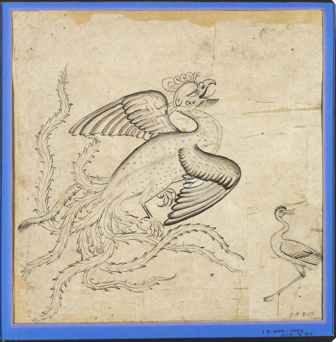 Unknown, Drawing