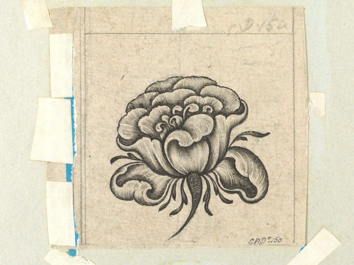 Unknown, Drawing