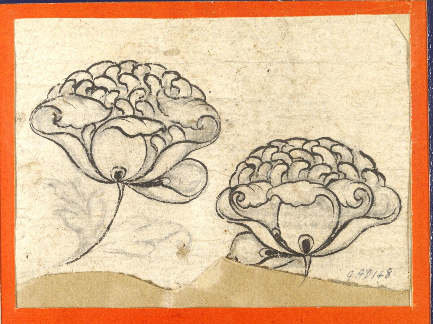 Unknown, Drawing
