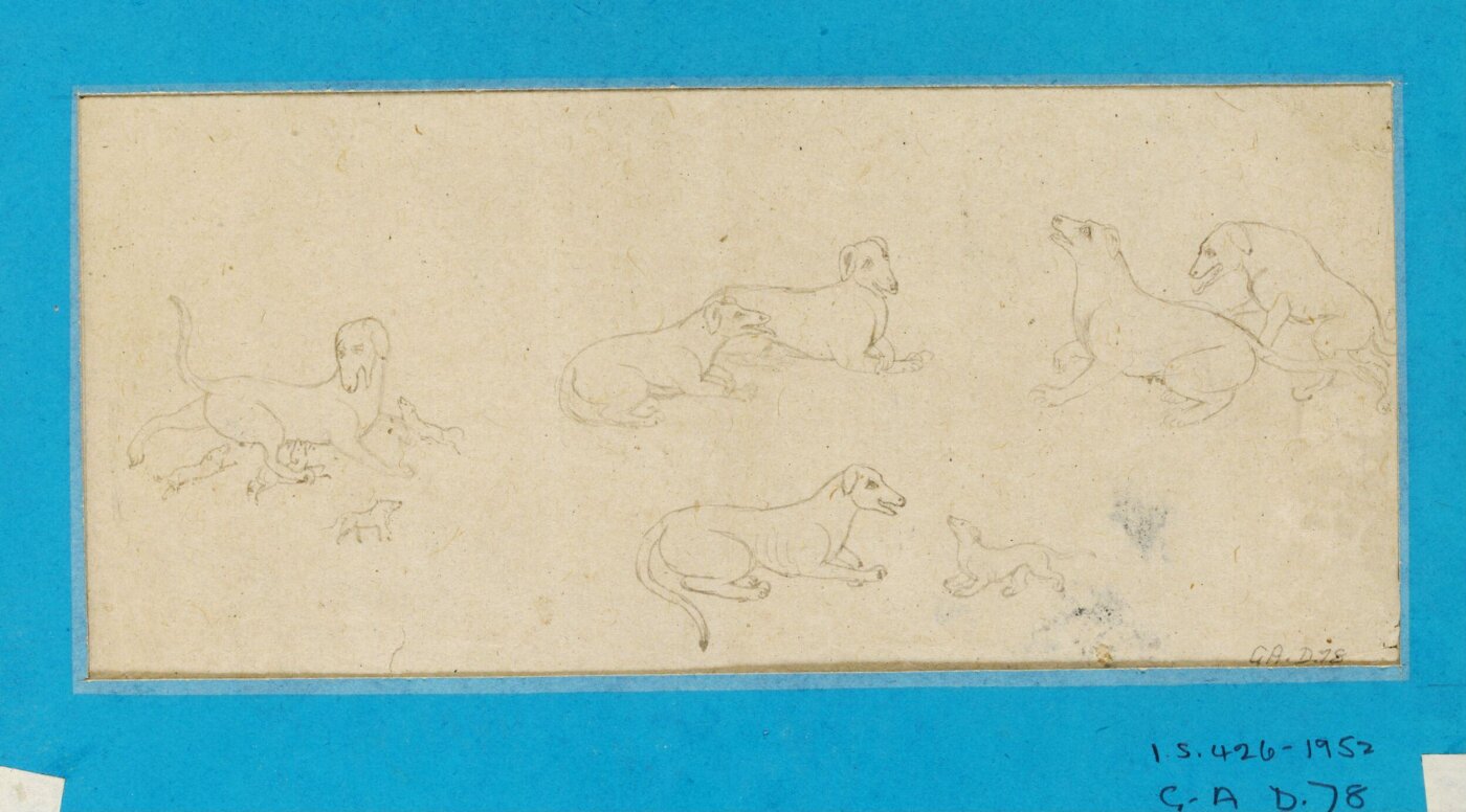 Unknown, Drawing