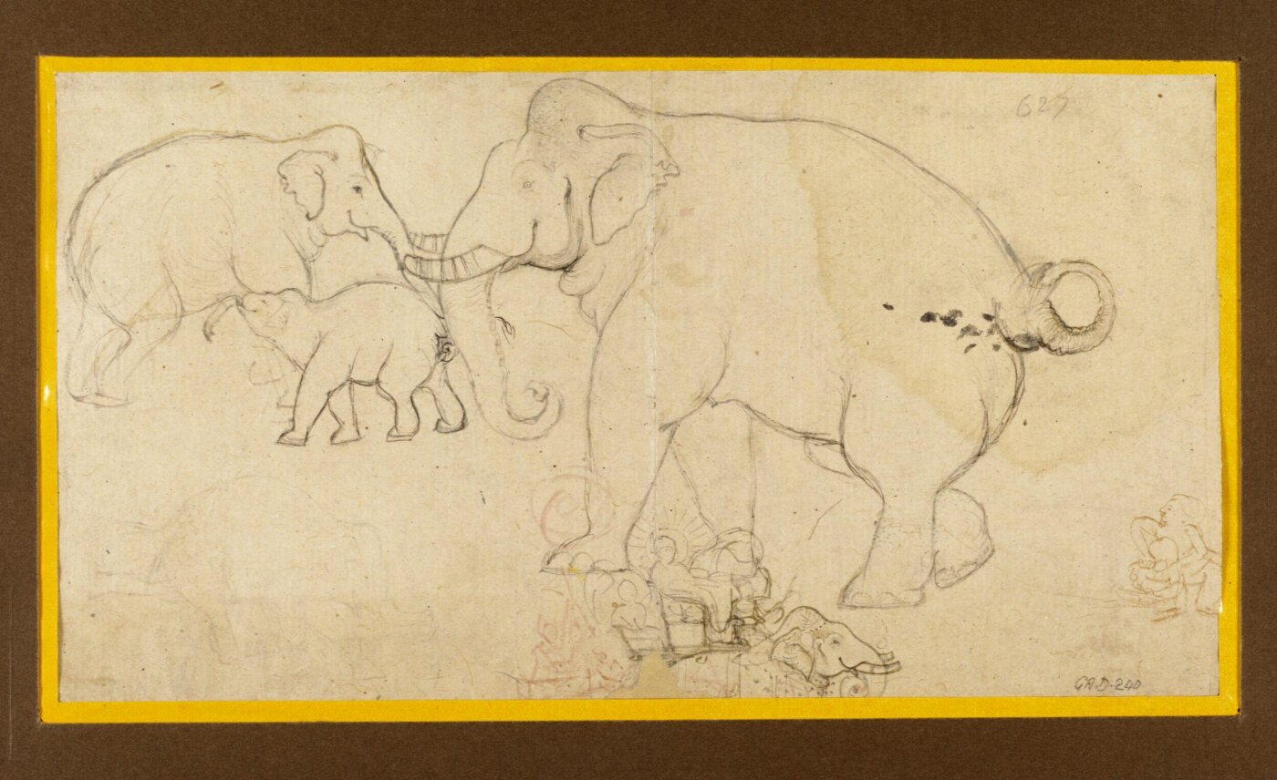 Unknown, Drawing