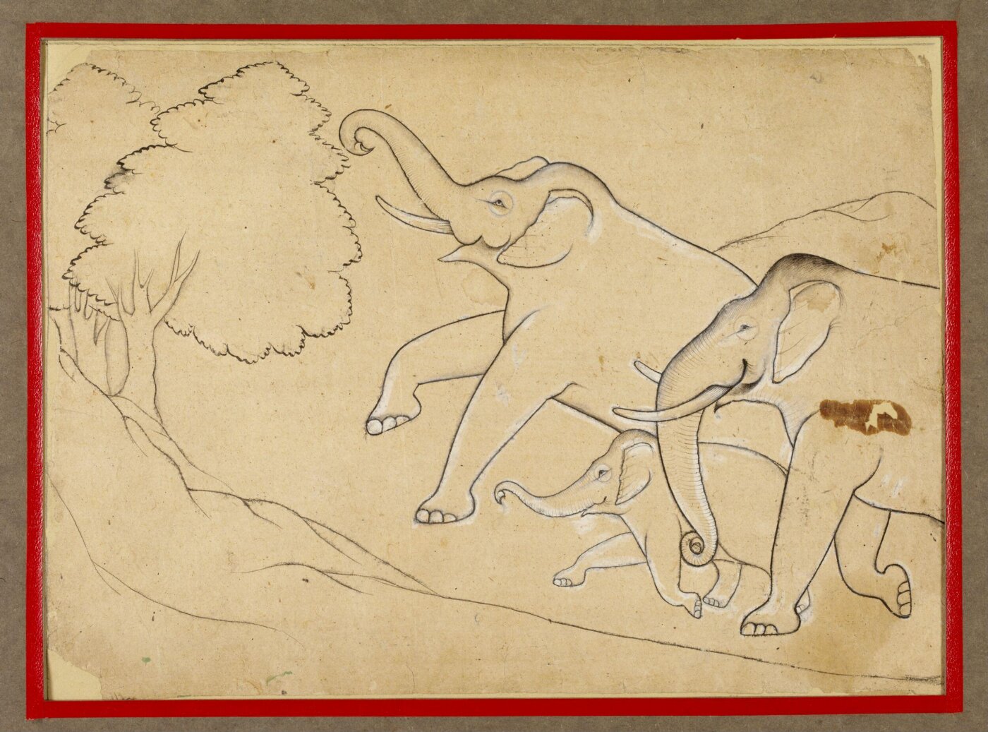 Unknown, Drawing