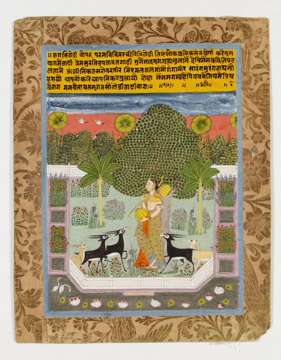 Unknown, Todi Ragini