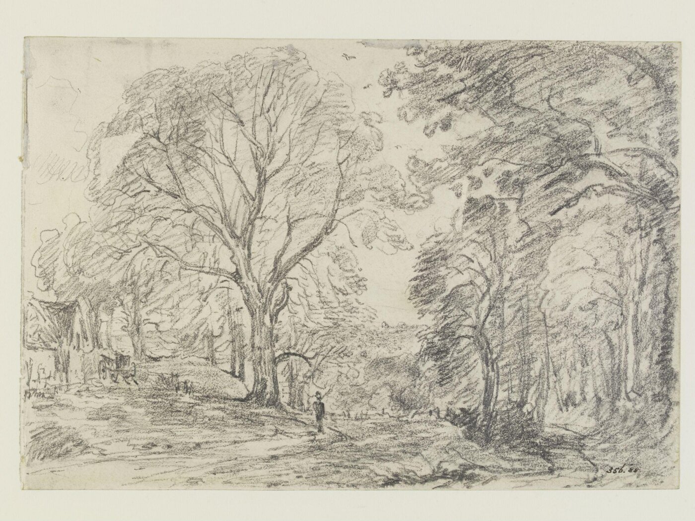 Constable, John (RA), Trees in a lane at Staunton Harold, Leicestershire.