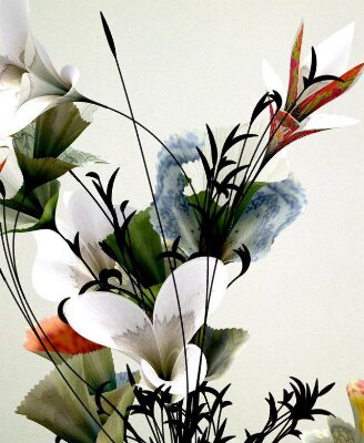 On Growth and Form