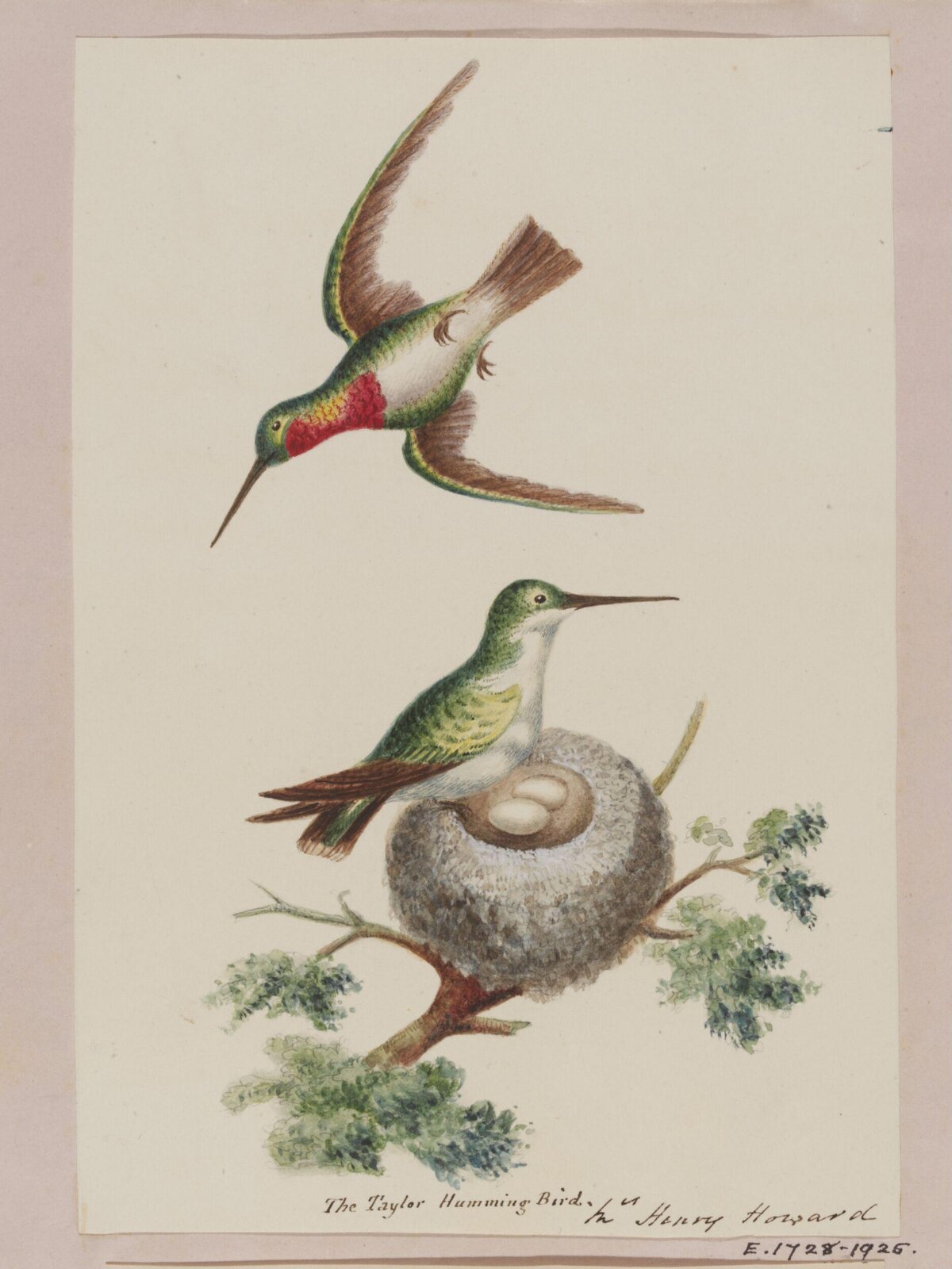 Sutherland Album, Henry Howard, 1800-1825