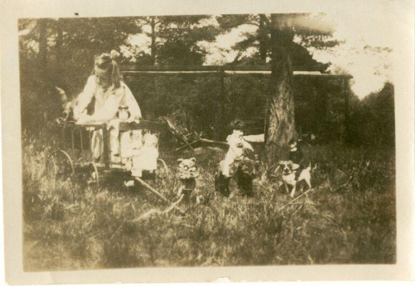 Unknown, Photograph