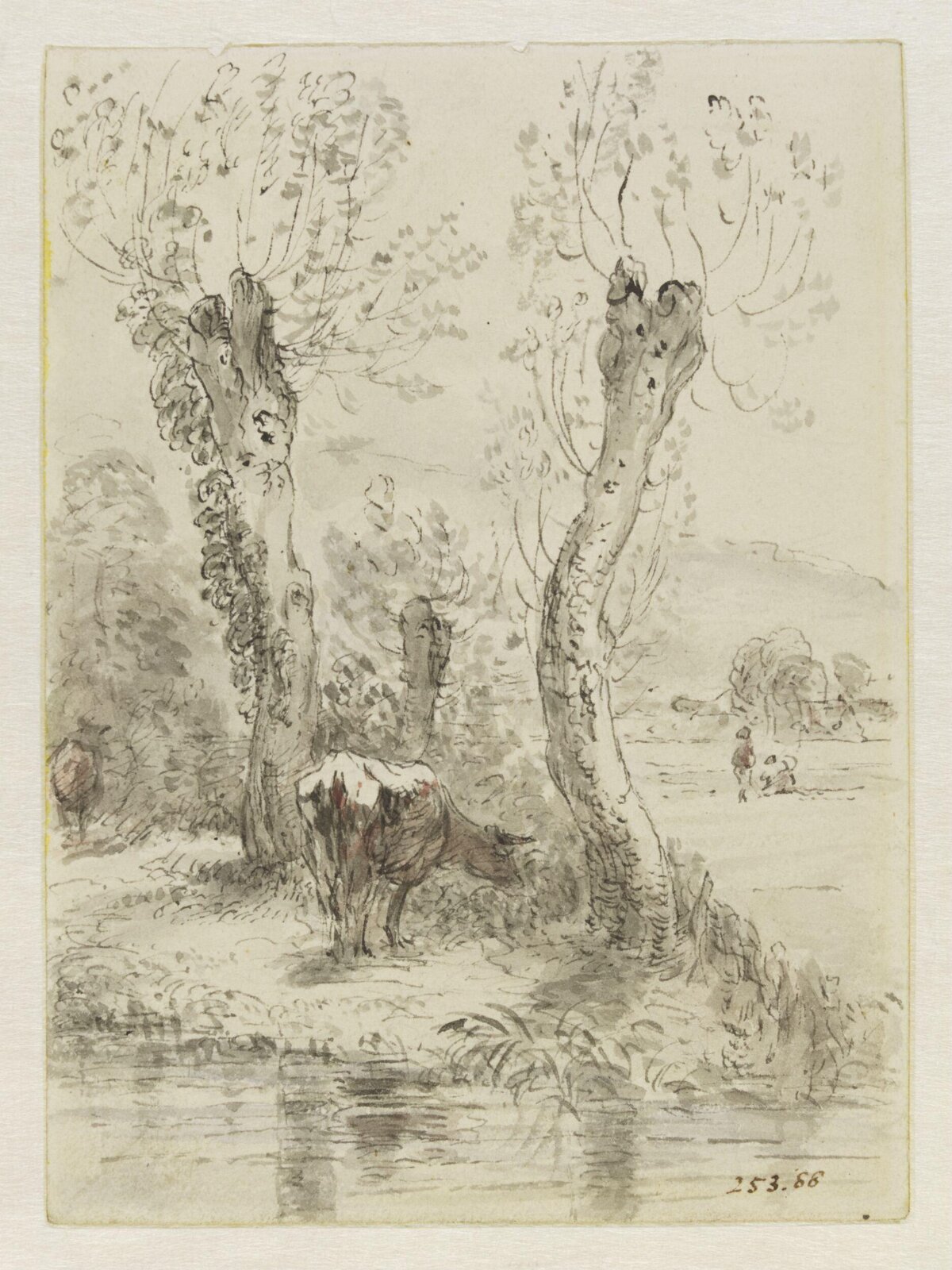 Cows grazing, Salisbury, John Constable, 13 and 14, November 1829