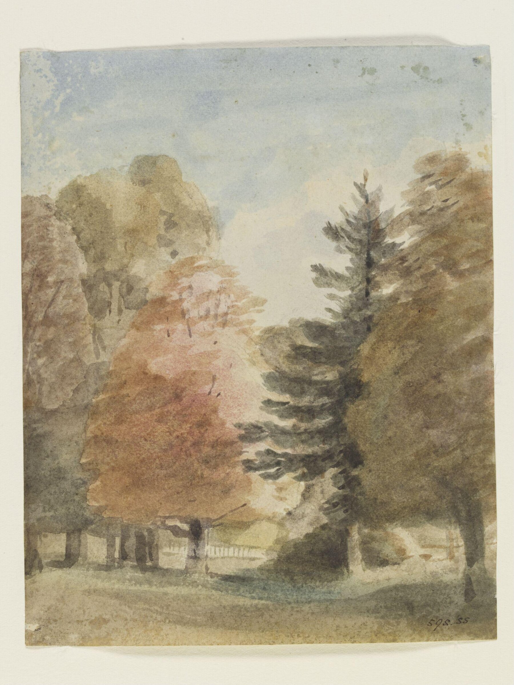 Study of trees in a park, perhaps Helmingham Park, Constable, 3 November 1805