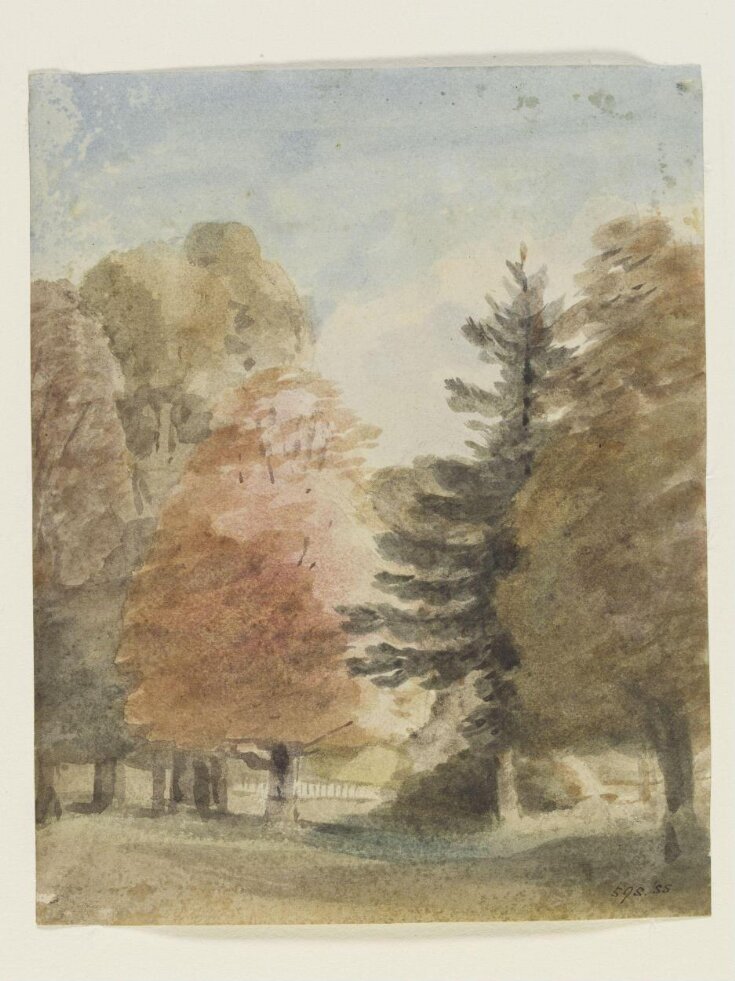 Study of trees in a park, perhaps Helmingham Park top image