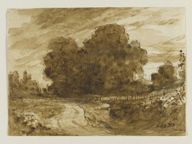 A country road with elm trees top image