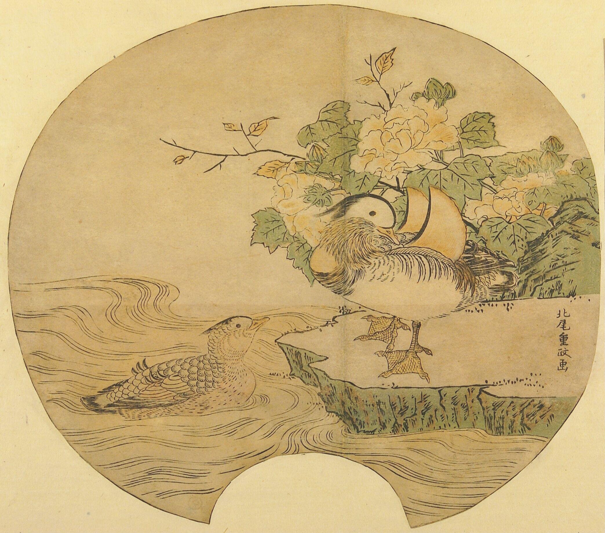 Pair of Mandarin Ducks by Kitao Shigemasa