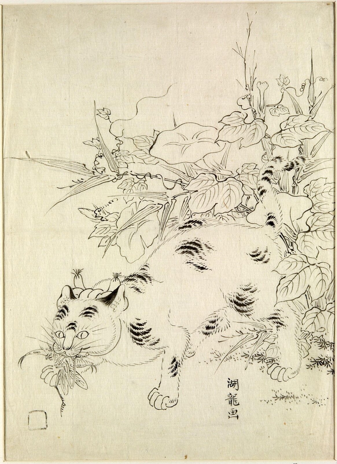 Cat Catching an Insect, Isoda Koryusai, 1772-1789