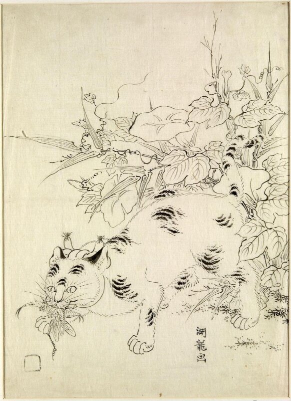 Cat Catching an Insect