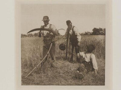 In the Barley Harvest