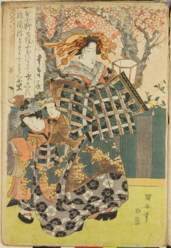 在庫処分セール The Kamuro the and Kado-Tamaya the of Komurasaki Courtesan その他
