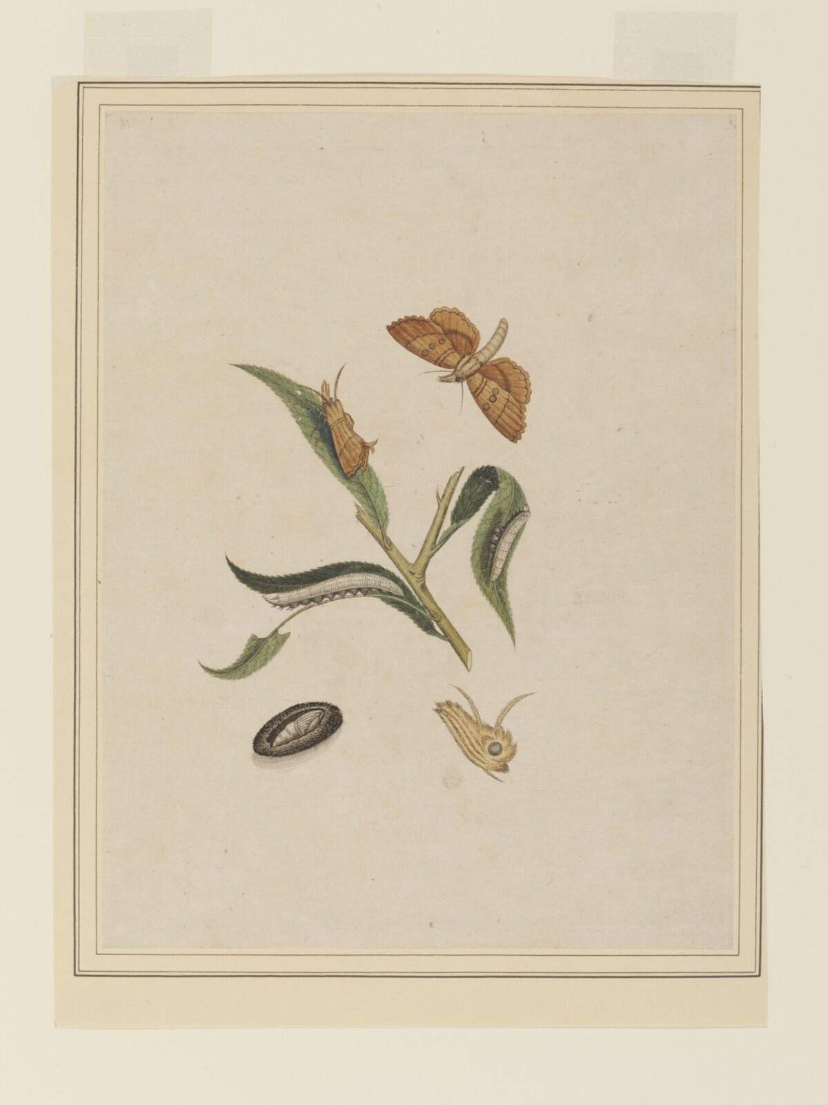 Painting, 19th century