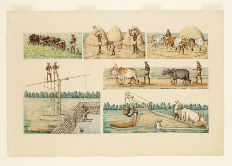 Six scenes of cultivation and irrigation