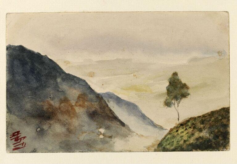 Mountain scene at Kurseong