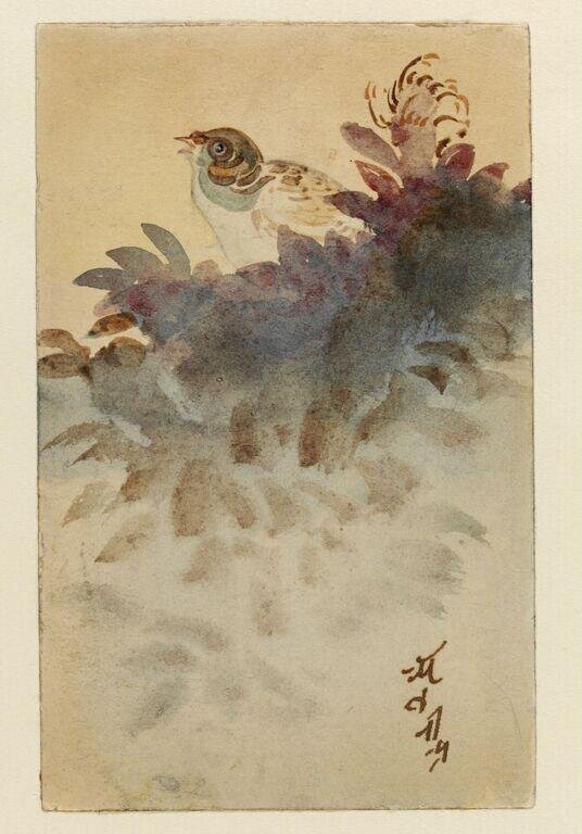 Untitled