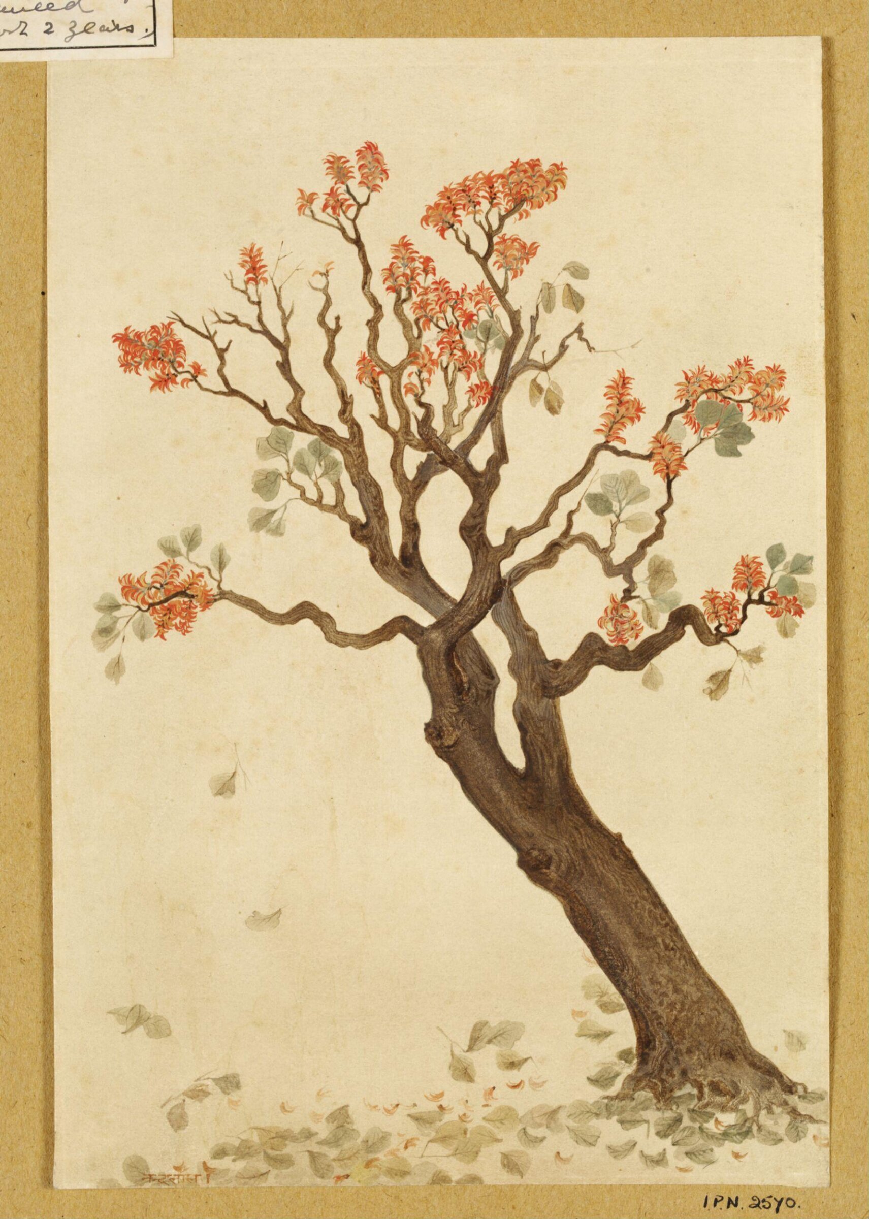 A flowering tree, Nandalal Bose, ca. 1900