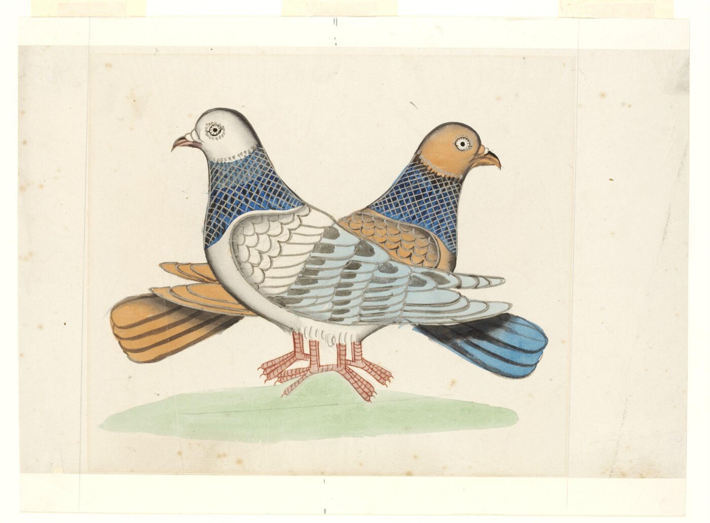 Unknown, Drawing