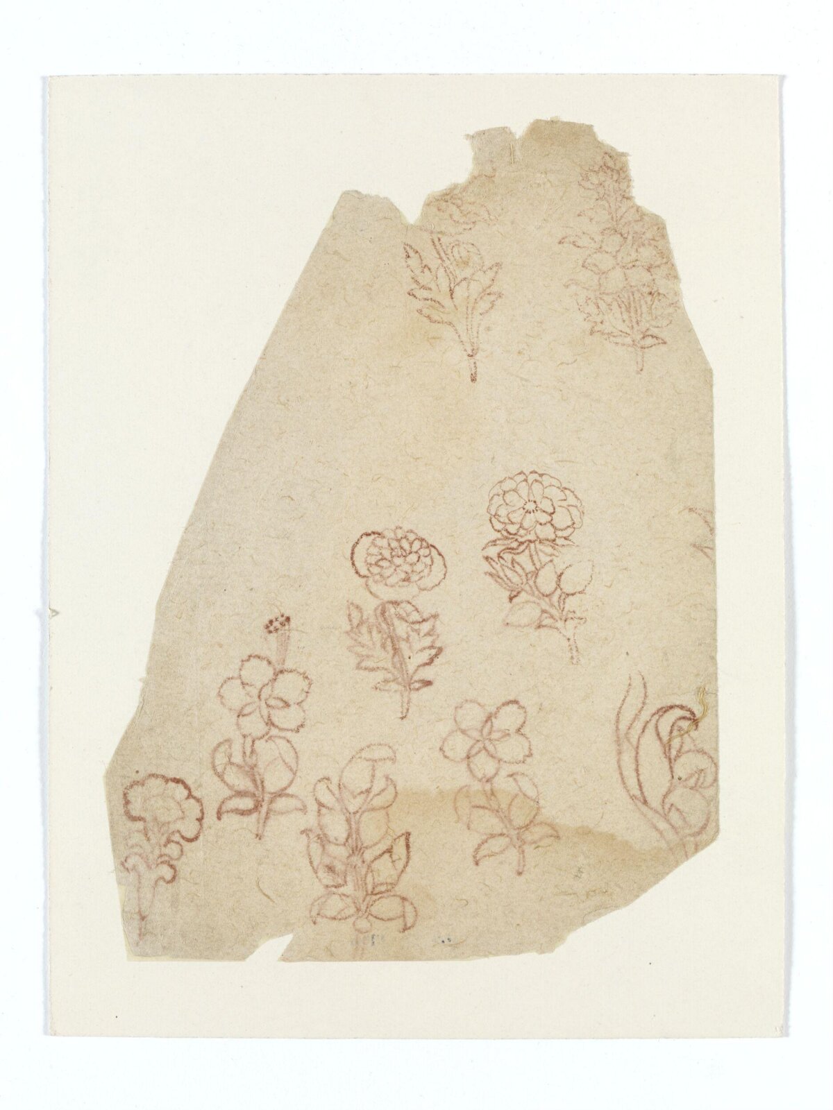Drawing, early 19th century