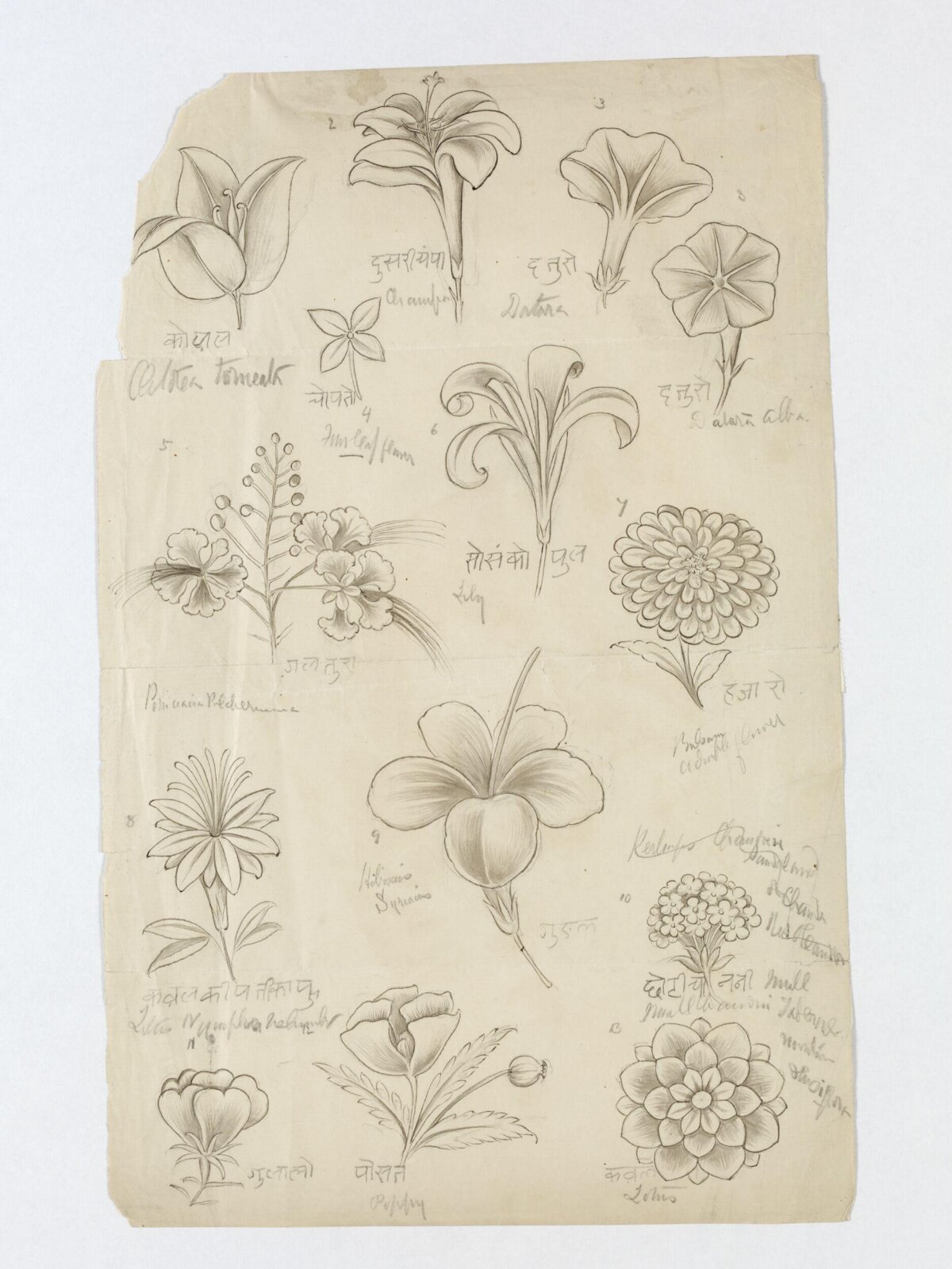 Drawing, ca. 1890