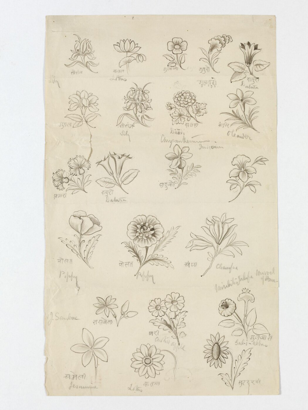Unknown, Drawing