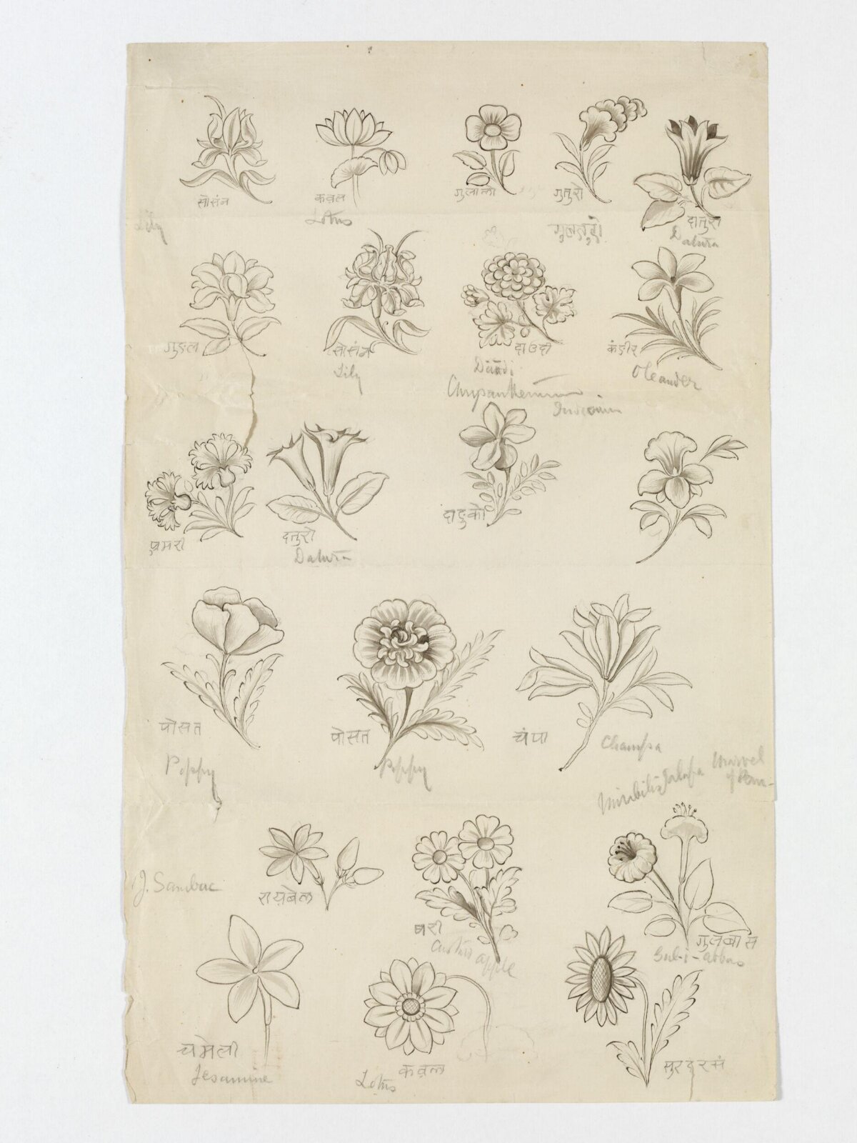 Drawing, ca. 1890