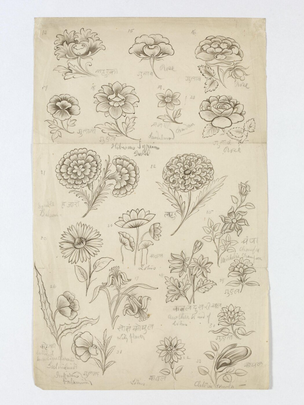 Unknown, Drawing
