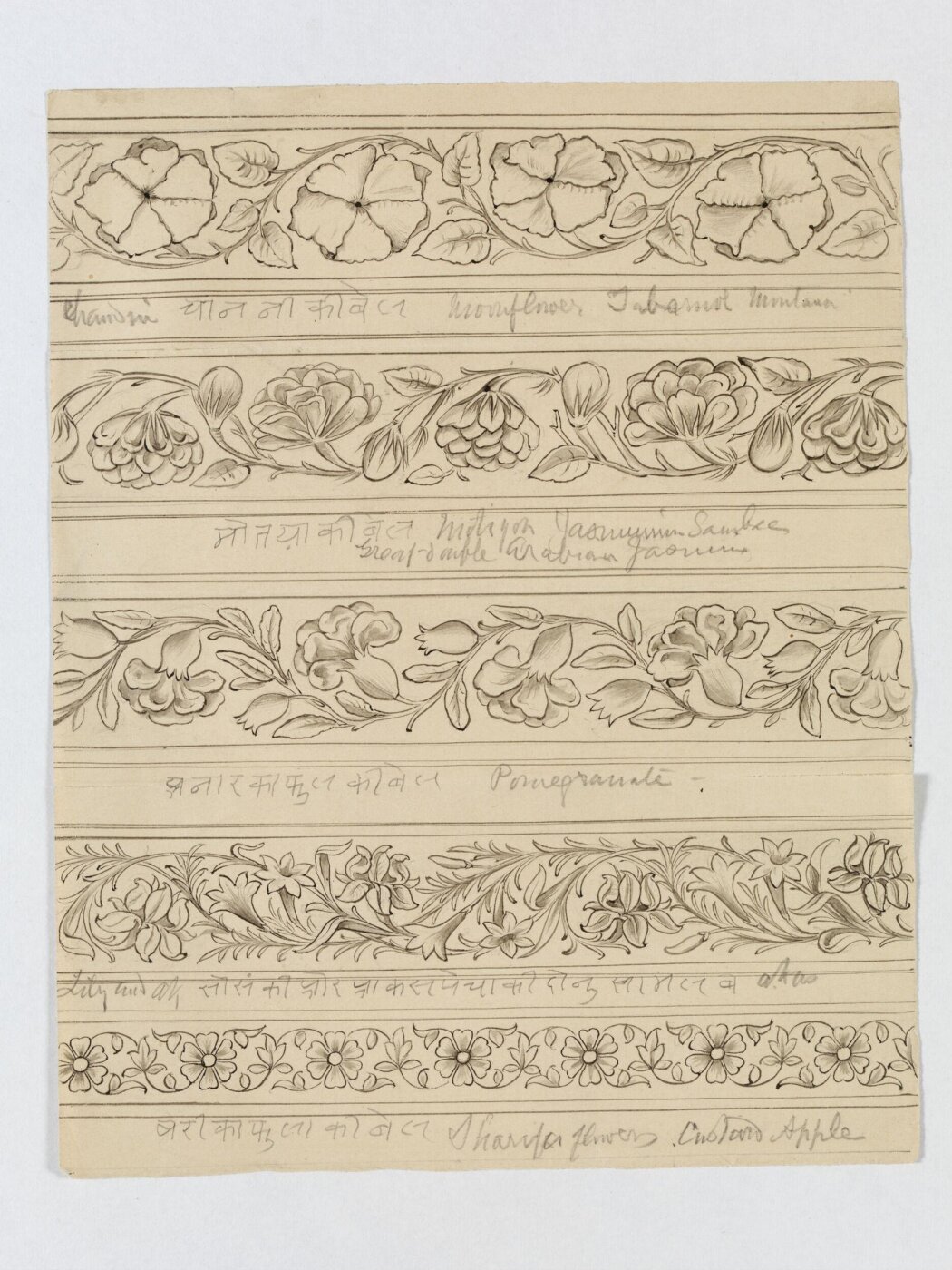 Unknown, Drawing