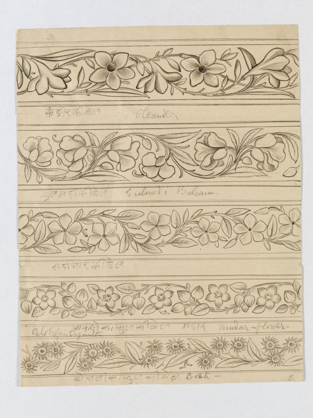 Unknown, Drawing