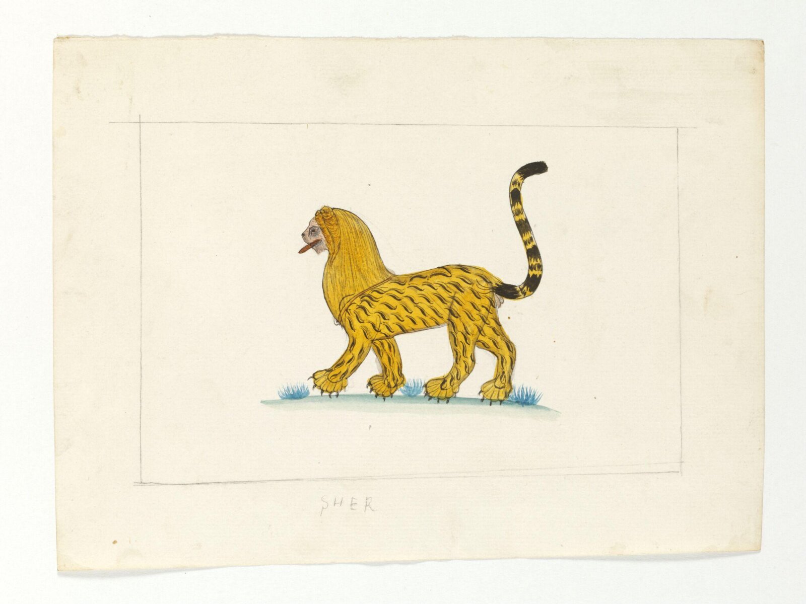 A lion-cum-tiger with a mane, ca. 1870 - ca. 1875