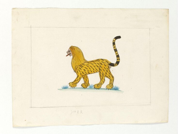 A lion-cum-tiger with a mane top image