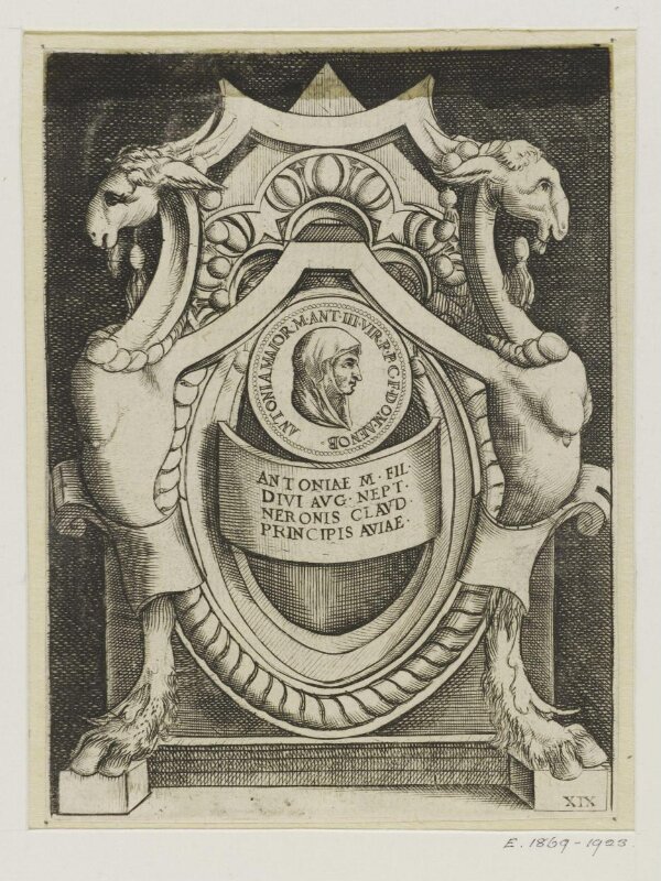 Engraving Ruette, Macé Vico, Enea V&A Explore The Collections