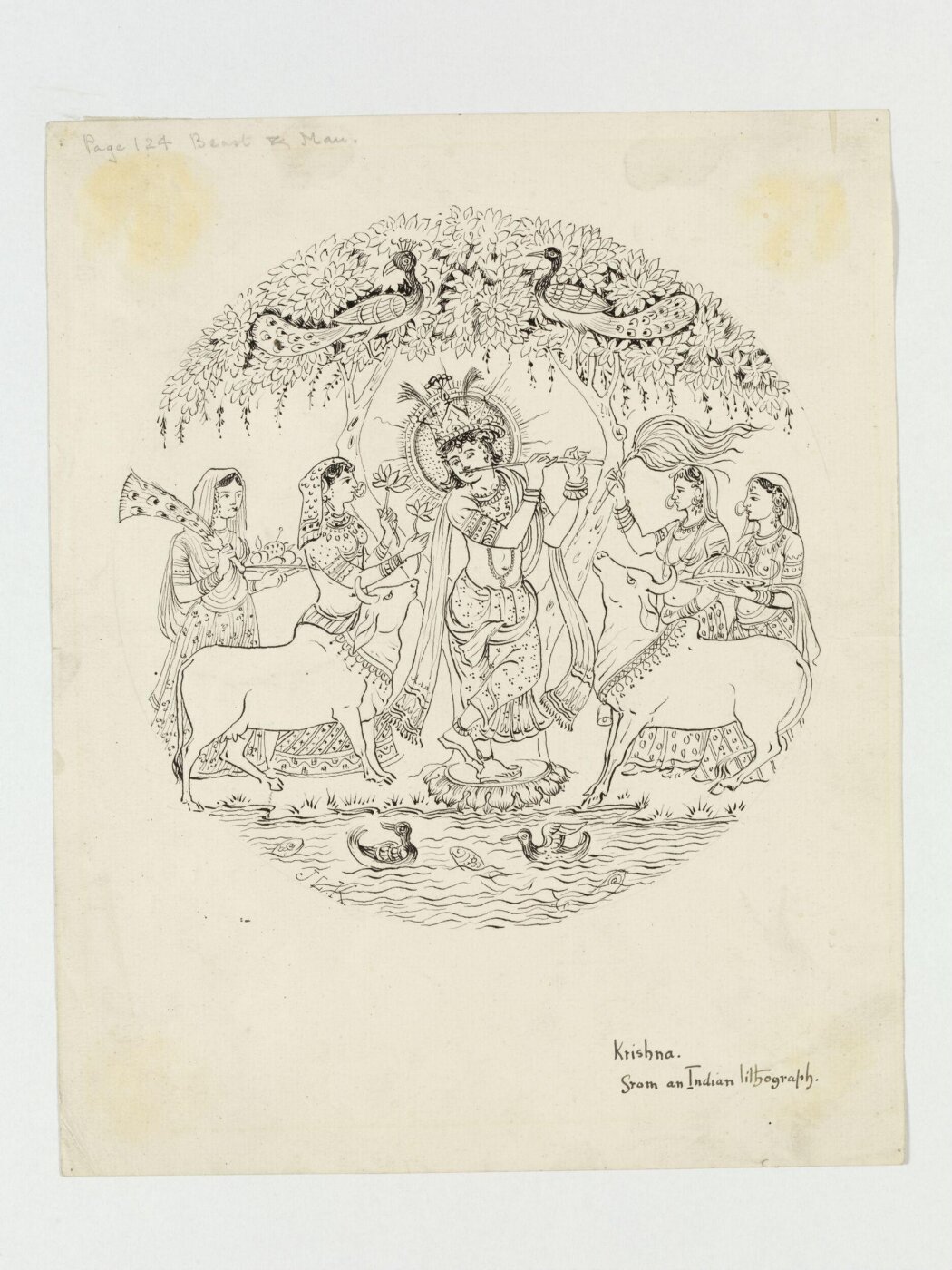 Unknown, Drawing