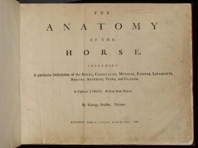 The anatomy of the horse. : Including a particular description of the bones, cartilages, muscles, fascias, ligaments, nerves, arteries, veins and glands. In eighteen tables, all done from nature