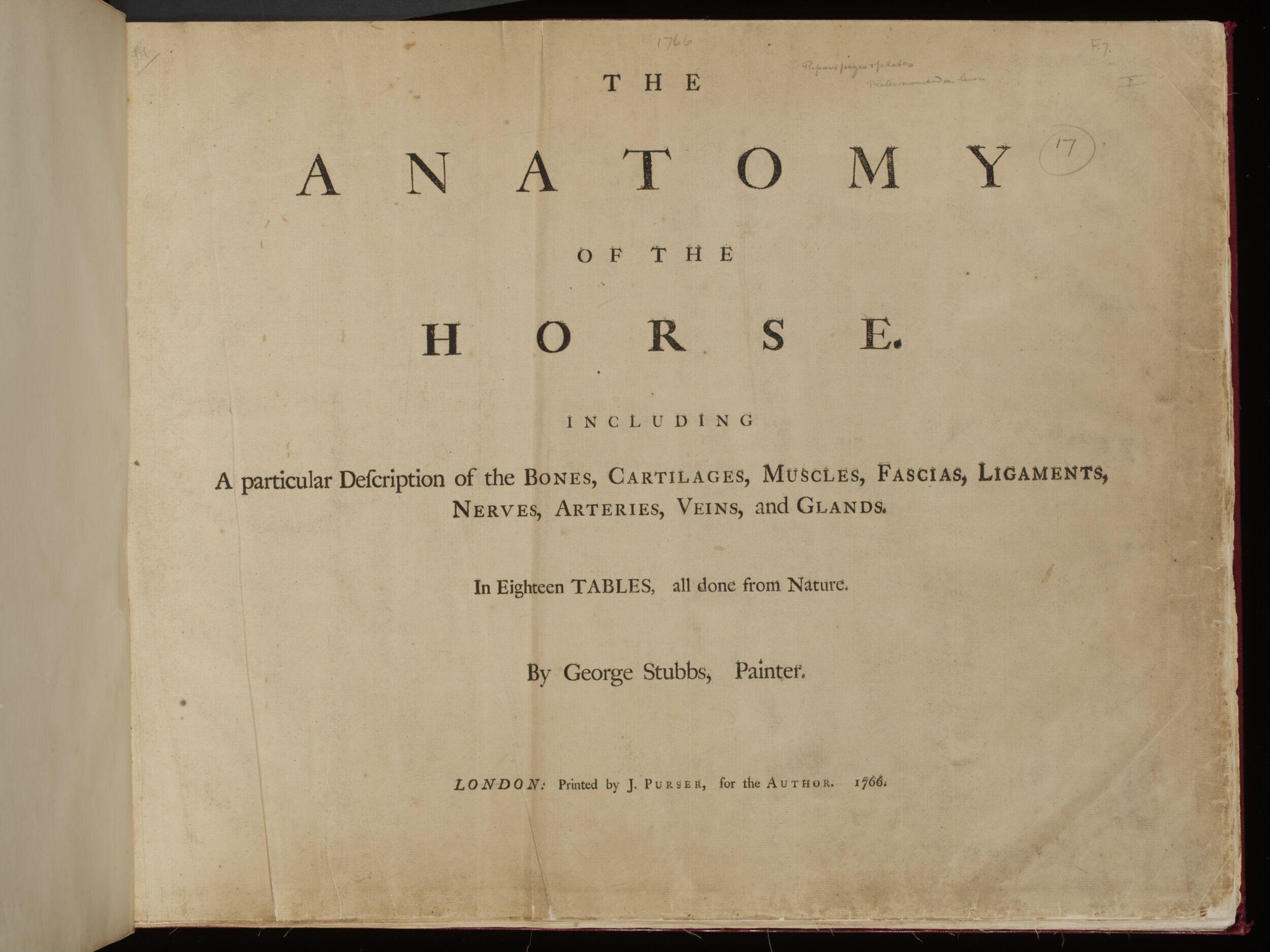 The anatomy of the horse. : Including a particular description of the bones, cartilages, muscles, fascias, ligaments, nerves, arteries, veins and glands. In eighteen tables, all done from nature