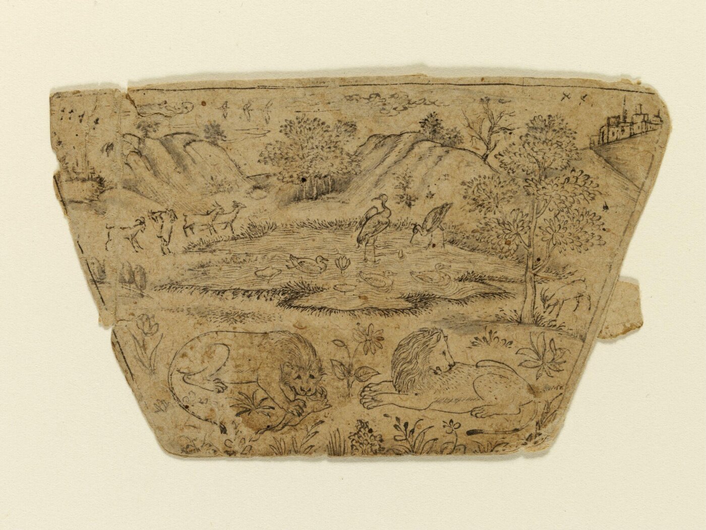 Unknown, Drawing