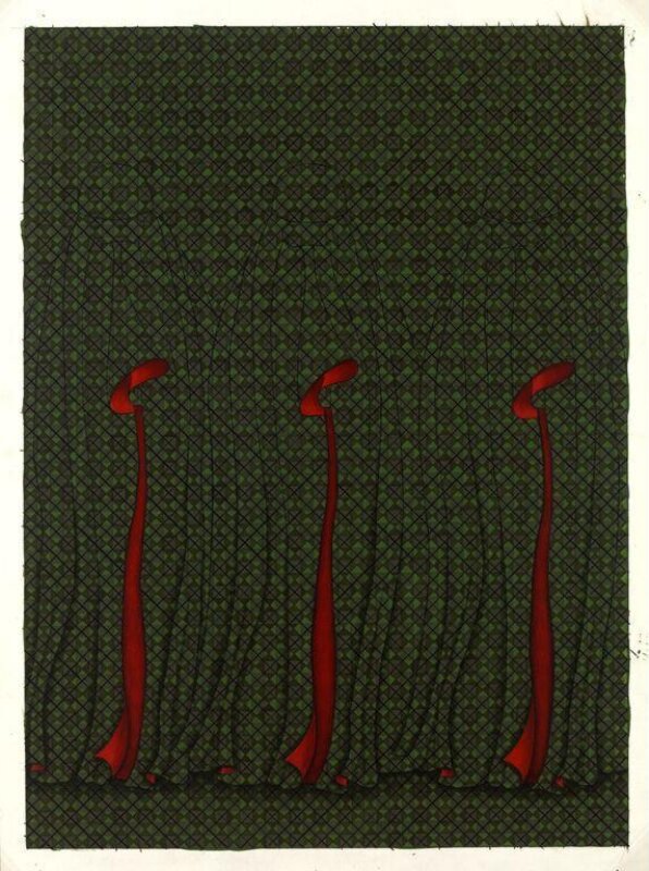 Gul-e-lalah